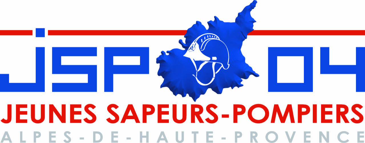 Logo de la section JSP
